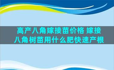 高产八角嫁接苗价格 嫁接八角树苗用什么肥快速产根